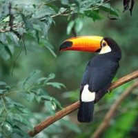 Foto de Santa Marta