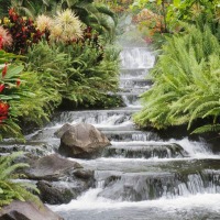 Foto de Santa Marta