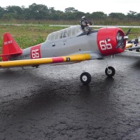 Foto de Shell-Pastaza