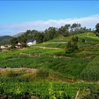 Foto de Arnoia