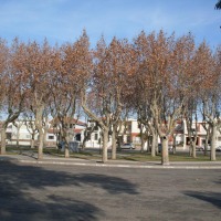 Foto de Mercedes