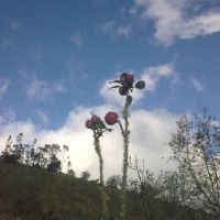 Foto de Bayushig