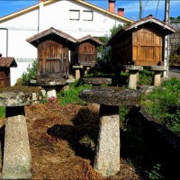 Foto de Arnoia