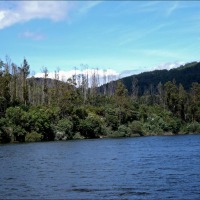 Foto de Arnoia