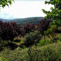 Foto de Arnoia