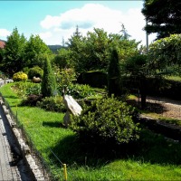 Foto de Arnoia