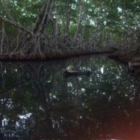 Foto de Ocumare de la Costa (La Sienaga)
