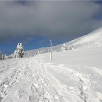 Foto de Tatra