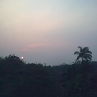 Foto de Shell-Pastaza