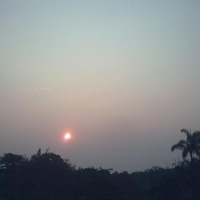 Foto de Shell-Pastaza