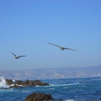 Foto de Viña del mar