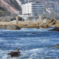 Foto de Viña del mar