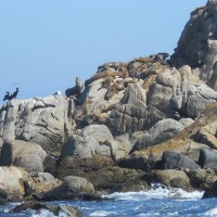 Foto de Viña del mar