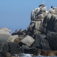 Foto de Viña del Mar