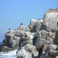 Foto de Viña del Mar