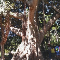 Foto de Attard