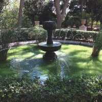 Foto de Attard