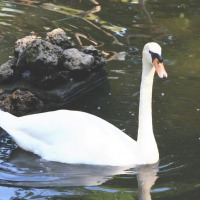 Foto de Attard