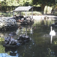 Foto de Attard
