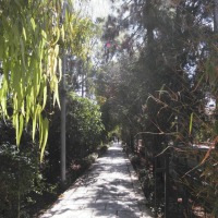 Foto de Attard