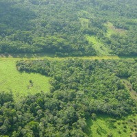 Foto de Shell-Pastaza