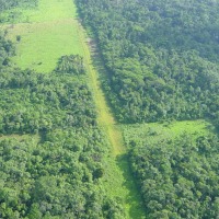 Foto de Shell-Pastaza