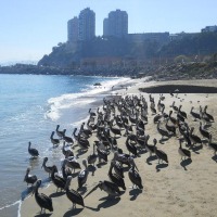 Foto de Valparaiso