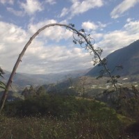 Foto de Bayushig
