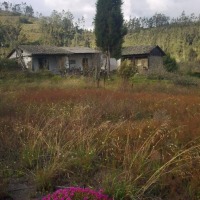 Foto de Bayushig
