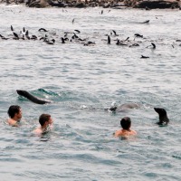 Foto de Punta del Este