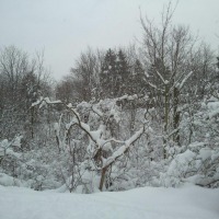 Foto de London (Ontario)