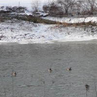 Foto de London (Ontario)