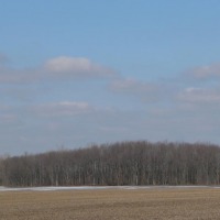 Foto de London (Ontario)