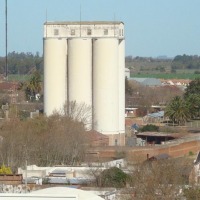 Foto de Durazno
