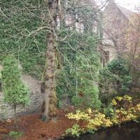 Foto de Brugge