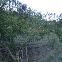 Foto de Bayushig