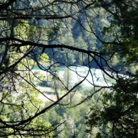 Foto de El Bolsón (Río Negro)