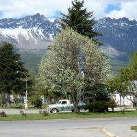 Foto de El Bolsón (Río Negro)