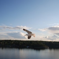 Foto de Mar Báltico