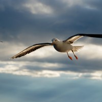 Foto de Mar Báltico