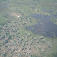 Foto: okawando - Parque Nacional Kruger
