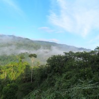Foto de Rio Luis