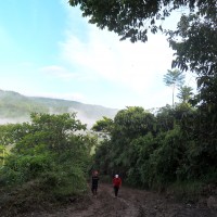 Foto de Rio Luis