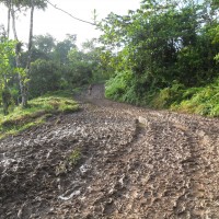 Foto de Rio Luis