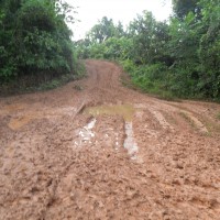 Foto de Rio Luis