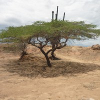 Foto de Villanueva (Huila)