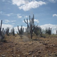 Foto de Villanueva (Huila)