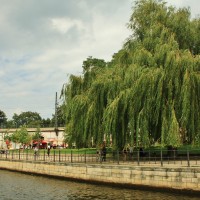 Foto: Navegando por el Spree - Berlín