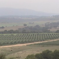 Foto de El Fahs