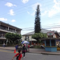 Foto: segundo Parque - Puyo